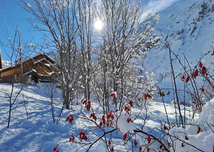 Apartamento La Maison D'anthelmette Valloire
