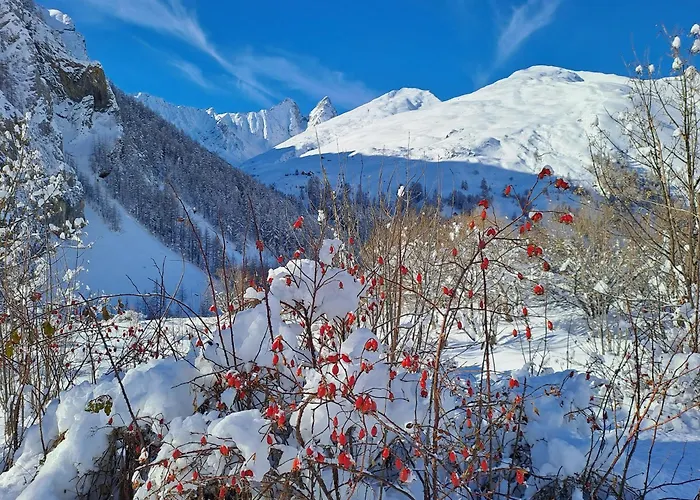 Apartamento La Maison D'anthelmette Valloire